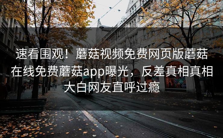速看围观！蘑菇视频免费网页版蘑菇在线免费蘑菇app曝光，反差真相真相大白网友直呼过瘾