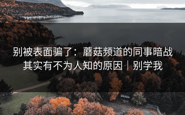 别被表面骗了：蘑菇频道的同事暗战其实有不为人知的原因｜别学我